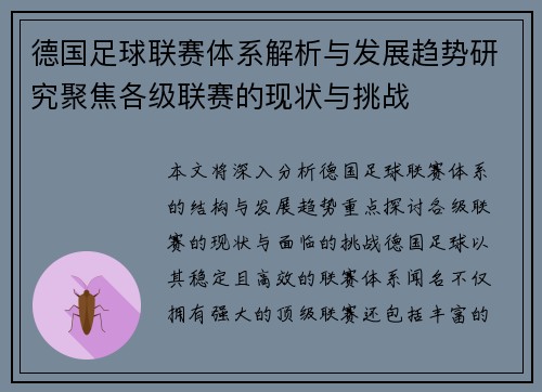 德国足球联赛体系解析与发展趋势研究聚焦各级联赛的现状与挑战